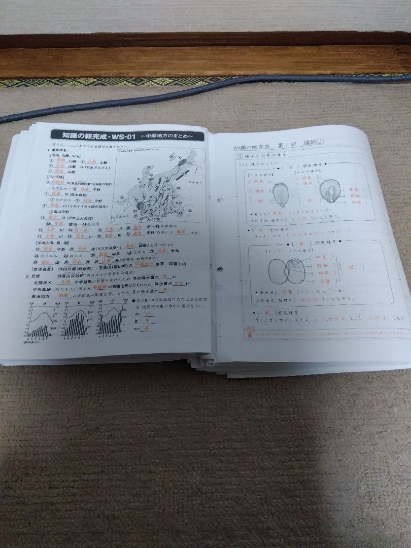 2022 SAPIX ウィークリーサピックス 理科・社会 知識の総完成 赤解答
