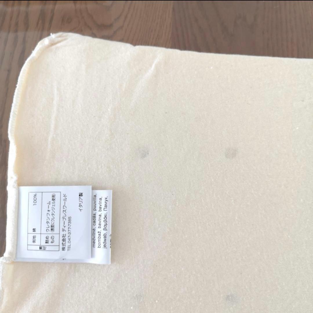 テクノジェルスリープイングコントワーピロー カバーなし