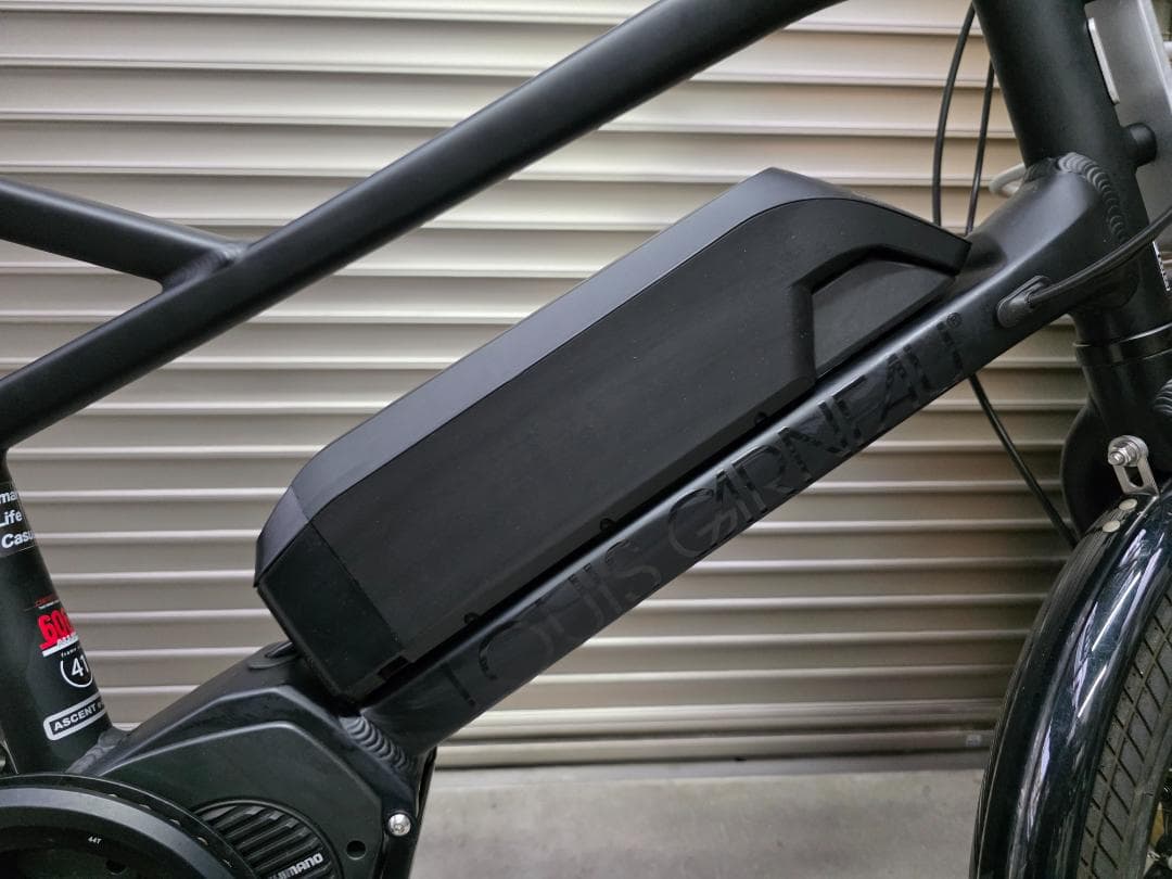 ルイガノ 電動アシスト自転車 LG-AES1 　20インチ　美車