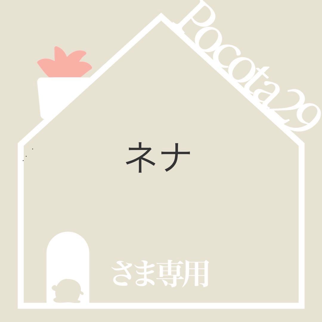 アエオニウム　韓国苗　プリンセス　多肉植物　ポコ多肉