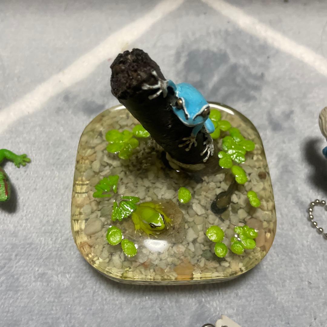 アマガエル 置物