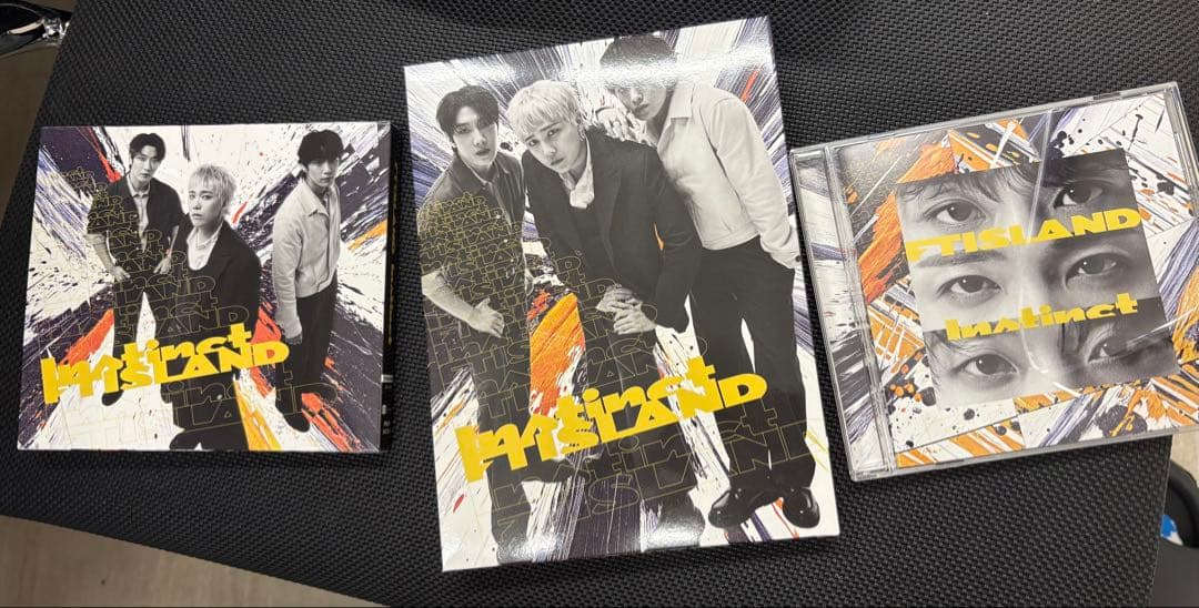 FT 10th Full Album『　Instinct 』