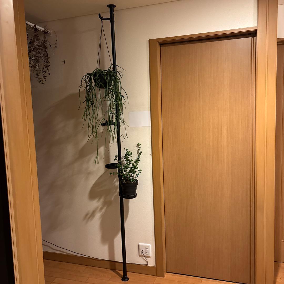 観葉植物 突っ張りポール 鉢2点 合計3点セット 240センチ前後 新品未使用品