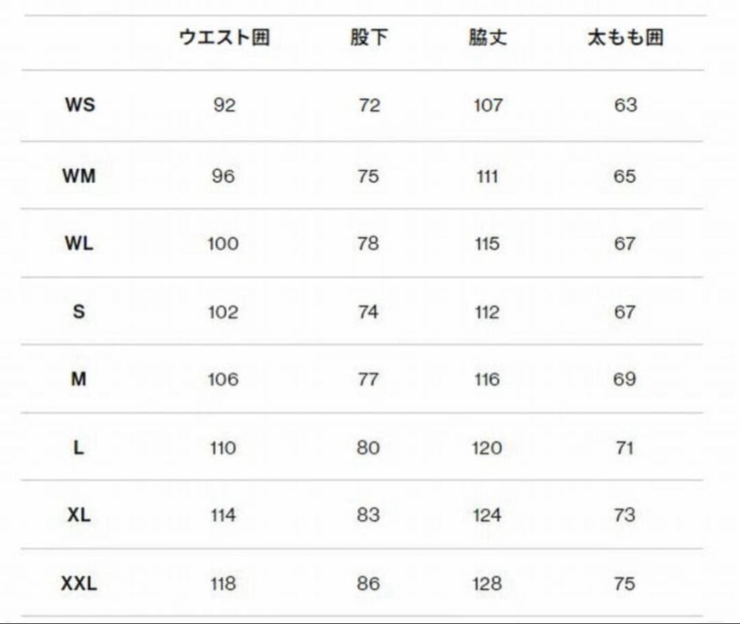 スノーボード 24-25 THE NORTH FACE RTG GORE TEX BIB M