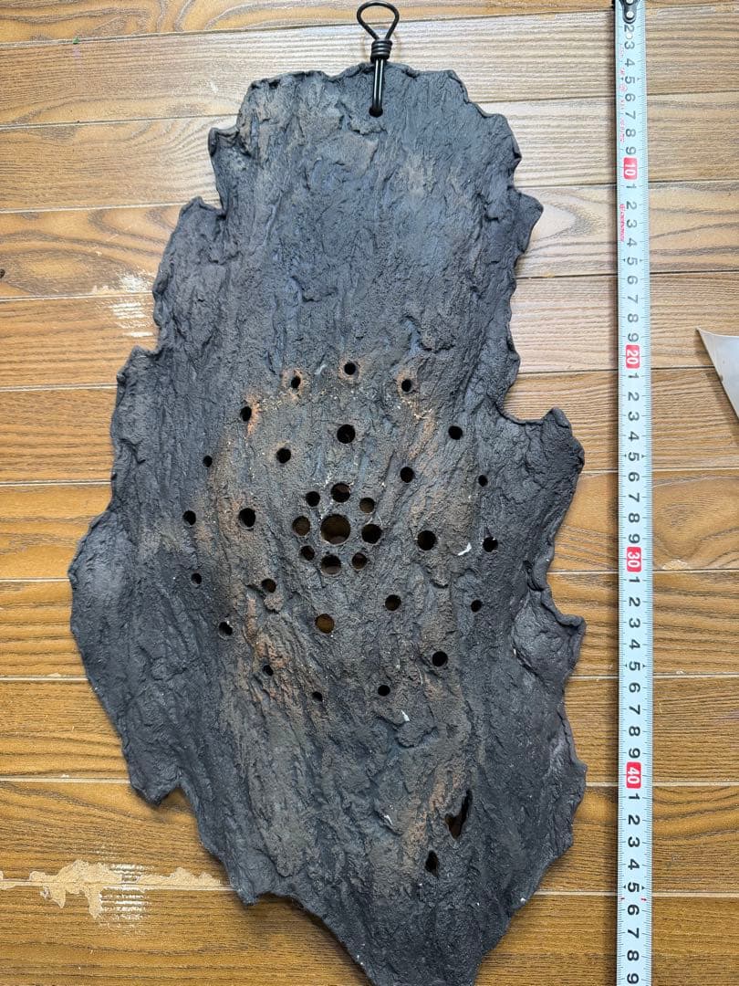 ビカクシダ　着生板　AND.