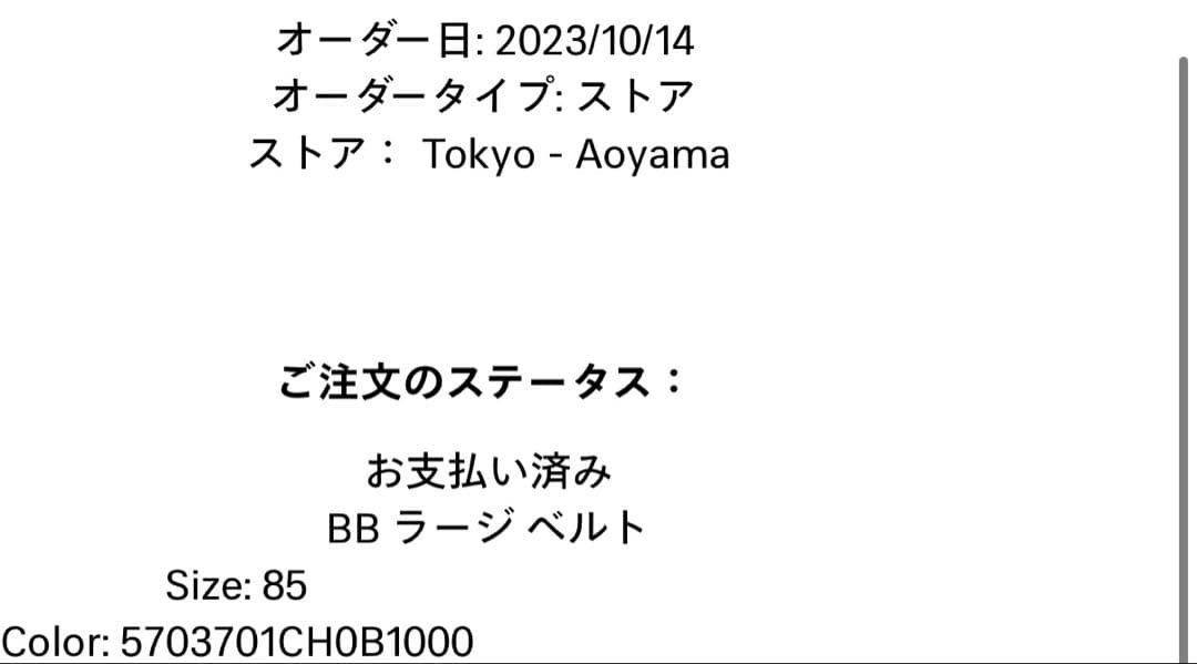 バレンシアガ BBラージベルト　サイズ85