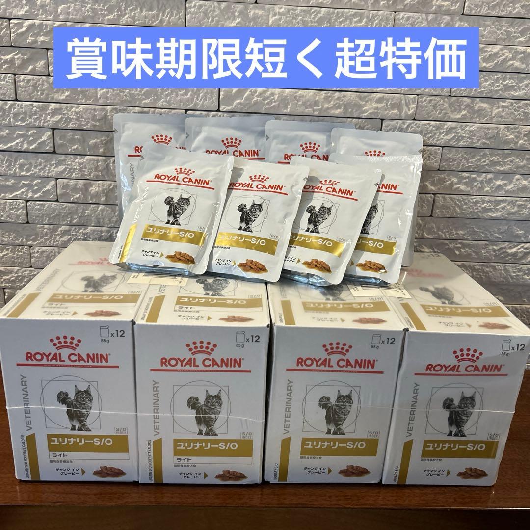 ロイヤルカナン　ユリナリーS/O 猫用パウチ　 85g×56個