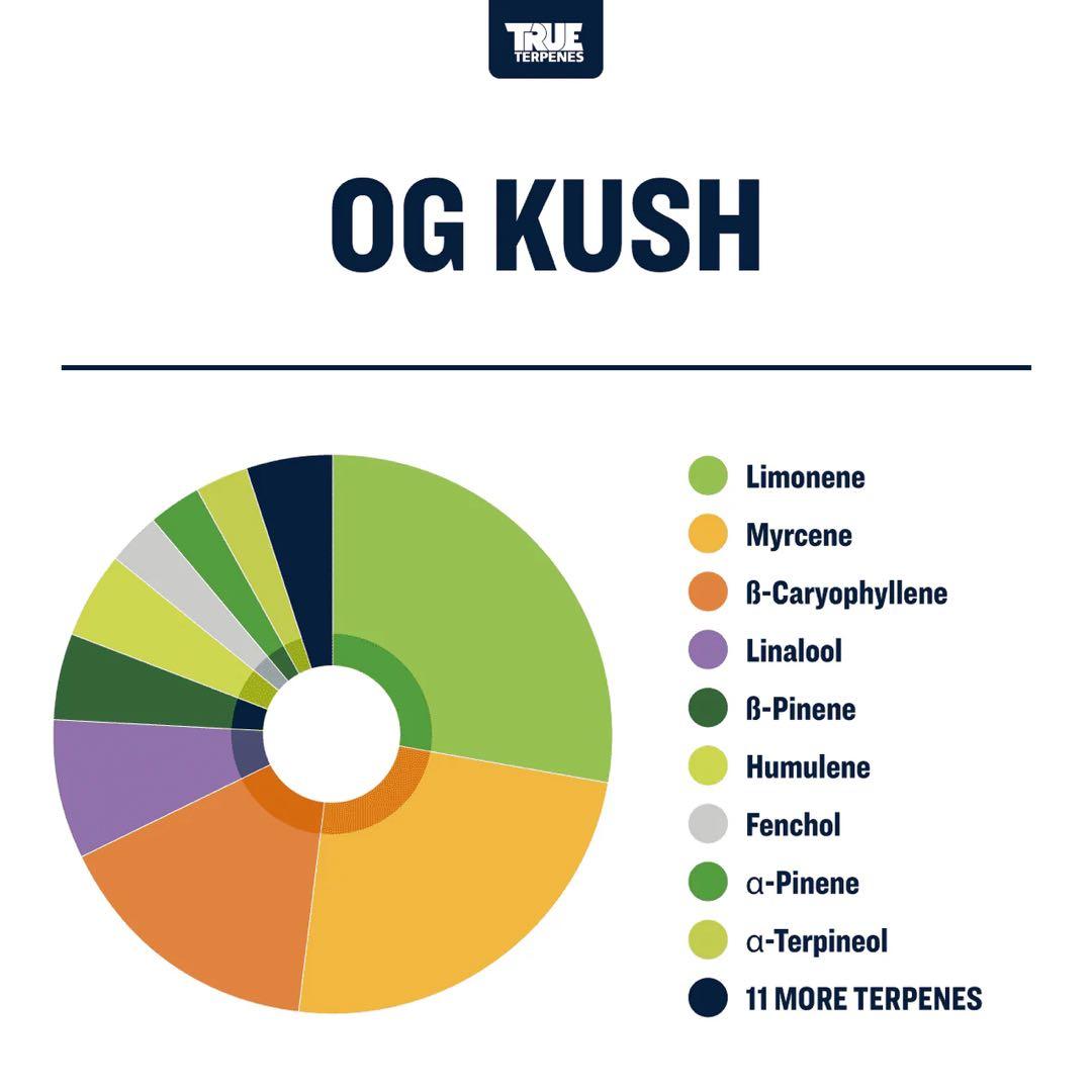 【10ml】OG Kush／True Terpenes テルペン CBD CBN