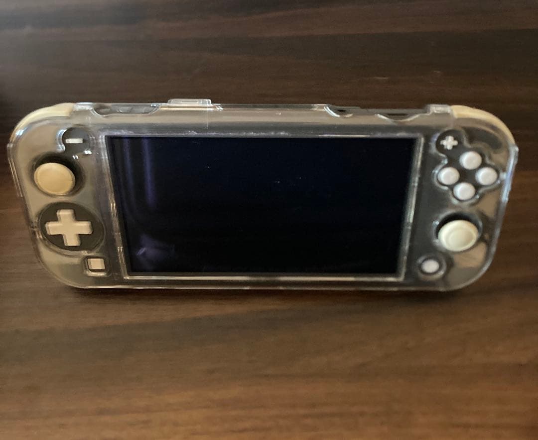 Nintendo Switch Lite グレー 充電器付き 箱付き ケース付属