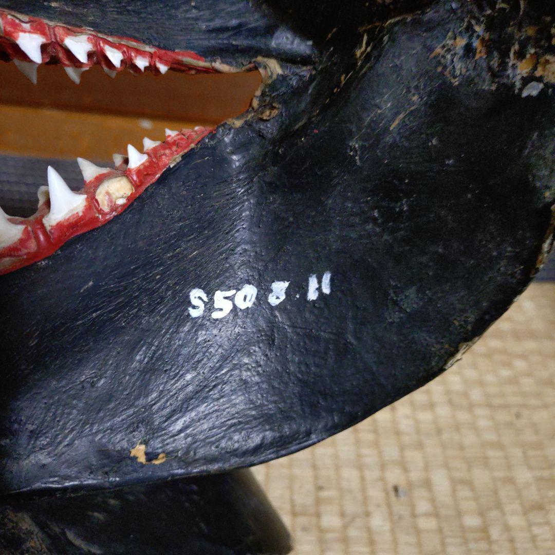 サメ　顎　歯　鮫　インテリア装飾