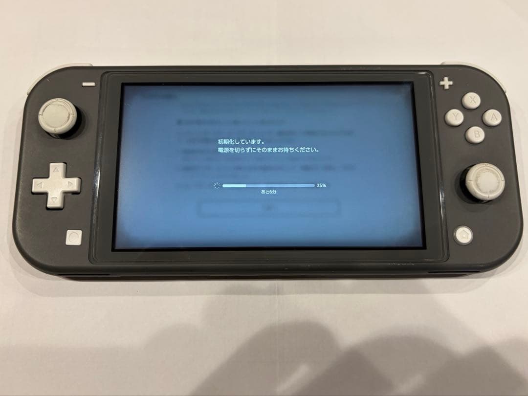 Nintendo Switch Lite本体 ACアダプターあり