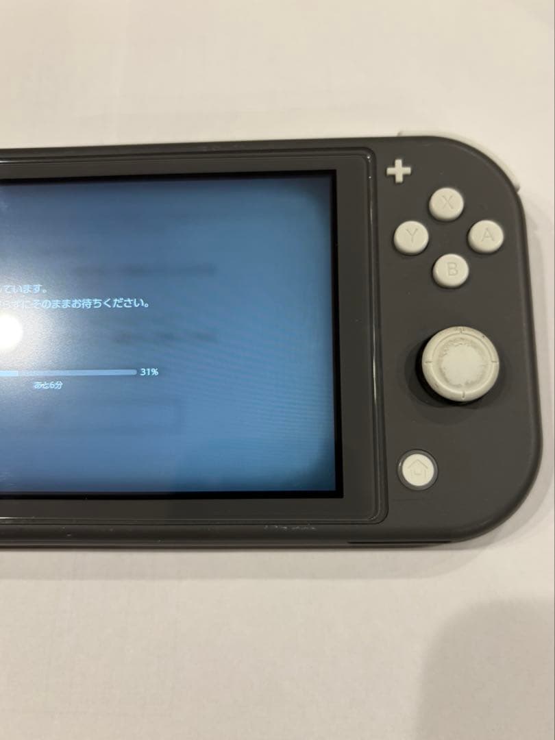 Nintendo Switch Lite本体 ACアダプターあり