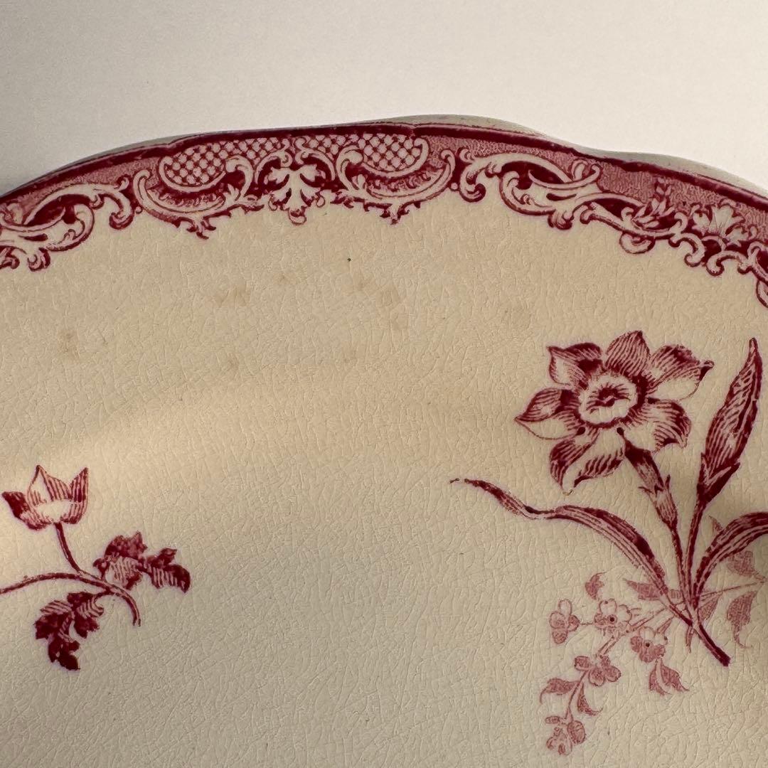 フランスアンティーク　サルグミンヌ　Fontanges ディナープレート　花リム