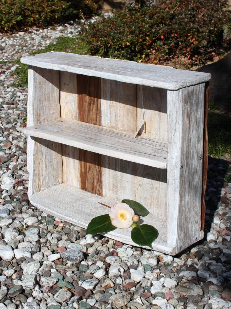 流木No1563_2段棚(送料込み)