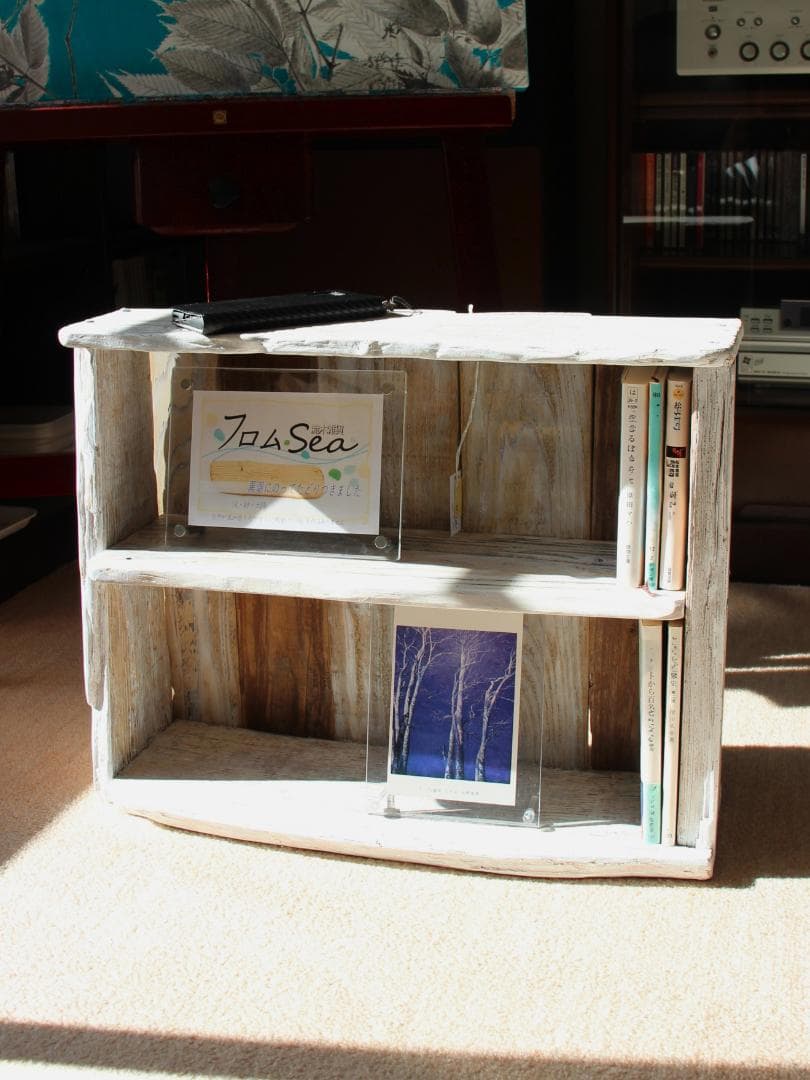 流木No1563_2段棚(送料込み)