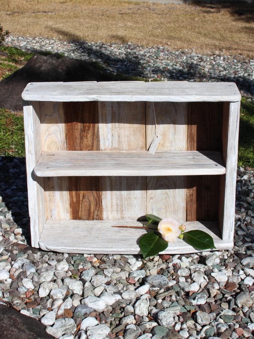 流木No1563_2段棚(送料込み)