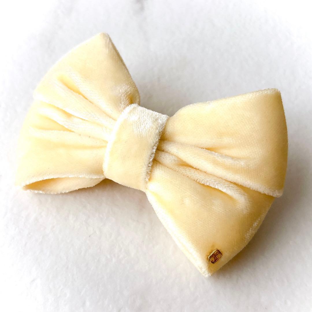 美品 アレクサンドルドゥパリ ベロア リボンバレッタ IVO 秋冬アクセサリー