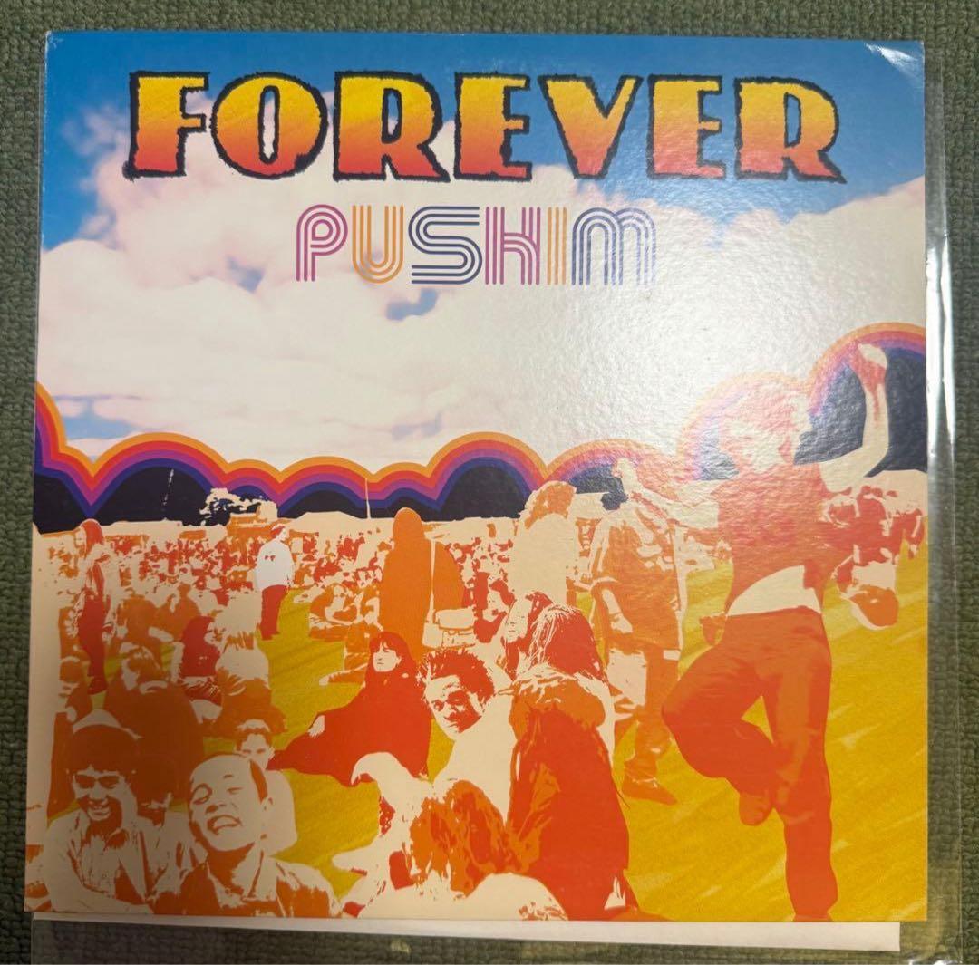 pushim レコード forever 10inch ジャパレゲ レゲエ