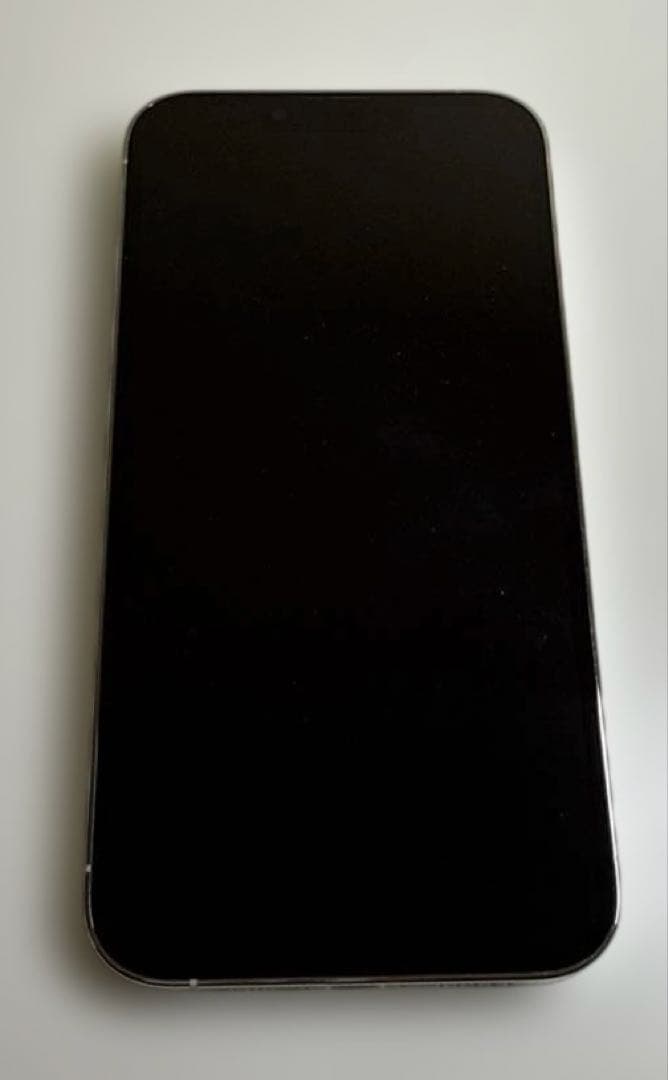 iPhone 13 Pro 256GB シルバー 本体とケース