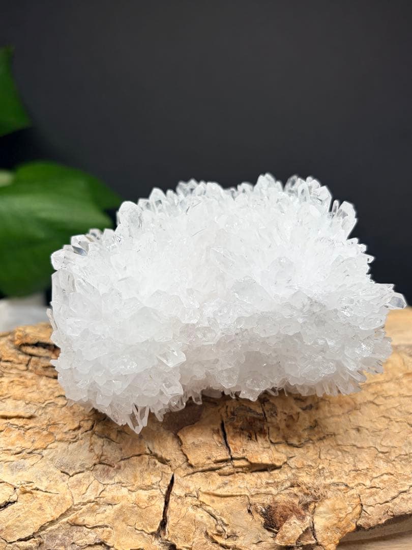 希少☆癒し系☆菊花水晶クラスター ☆キラキラ✨パワーストーン　置物