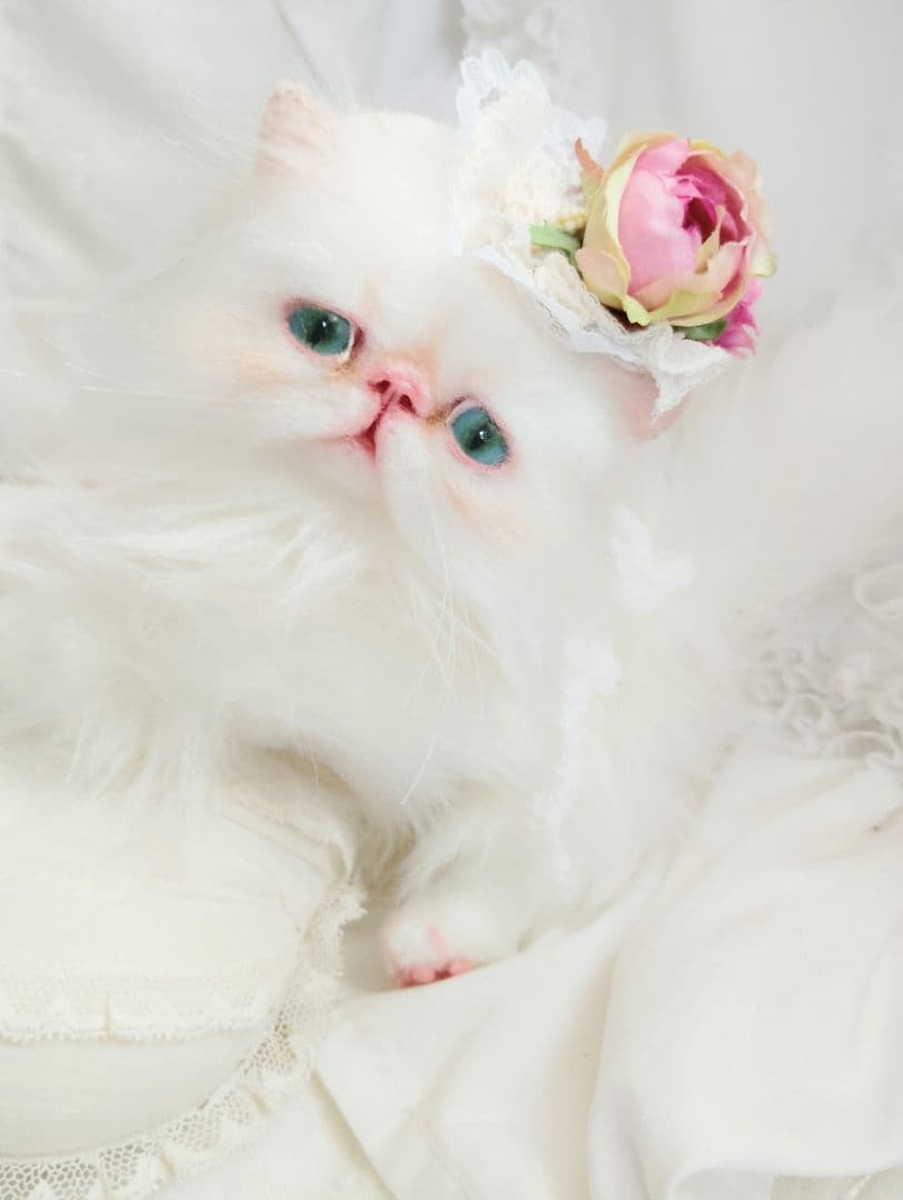 生後3ヶ月♡子猫ちゃん♡綺麗なオメメの美人さん♡アートドール♡ぬいぐるみ♡