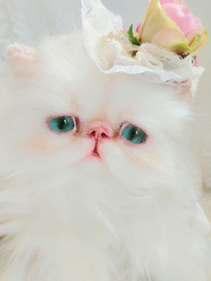 生後3ヶ月♡子猫ちゃん♡綺麗なオメメの美人さん♡アートドール♡ぬいぐるみ♡