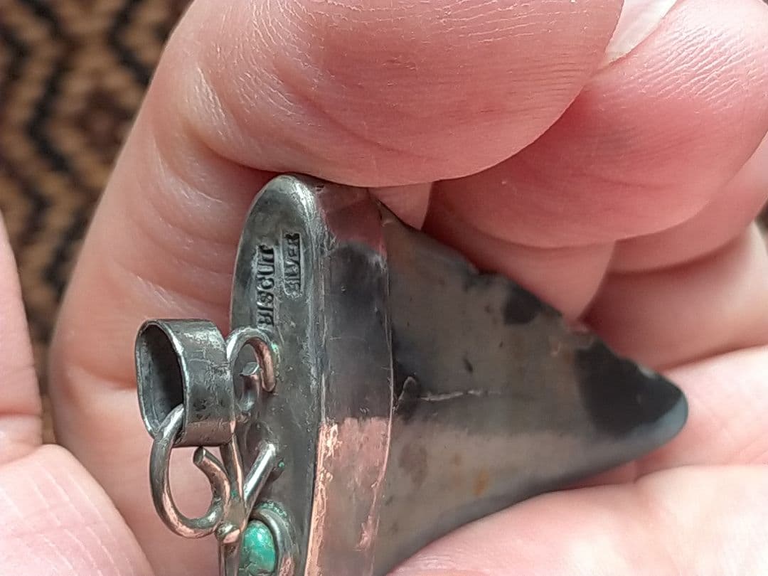 化石 サメの歯　メガロドン　 銀925 ヘッドのみ 未使用