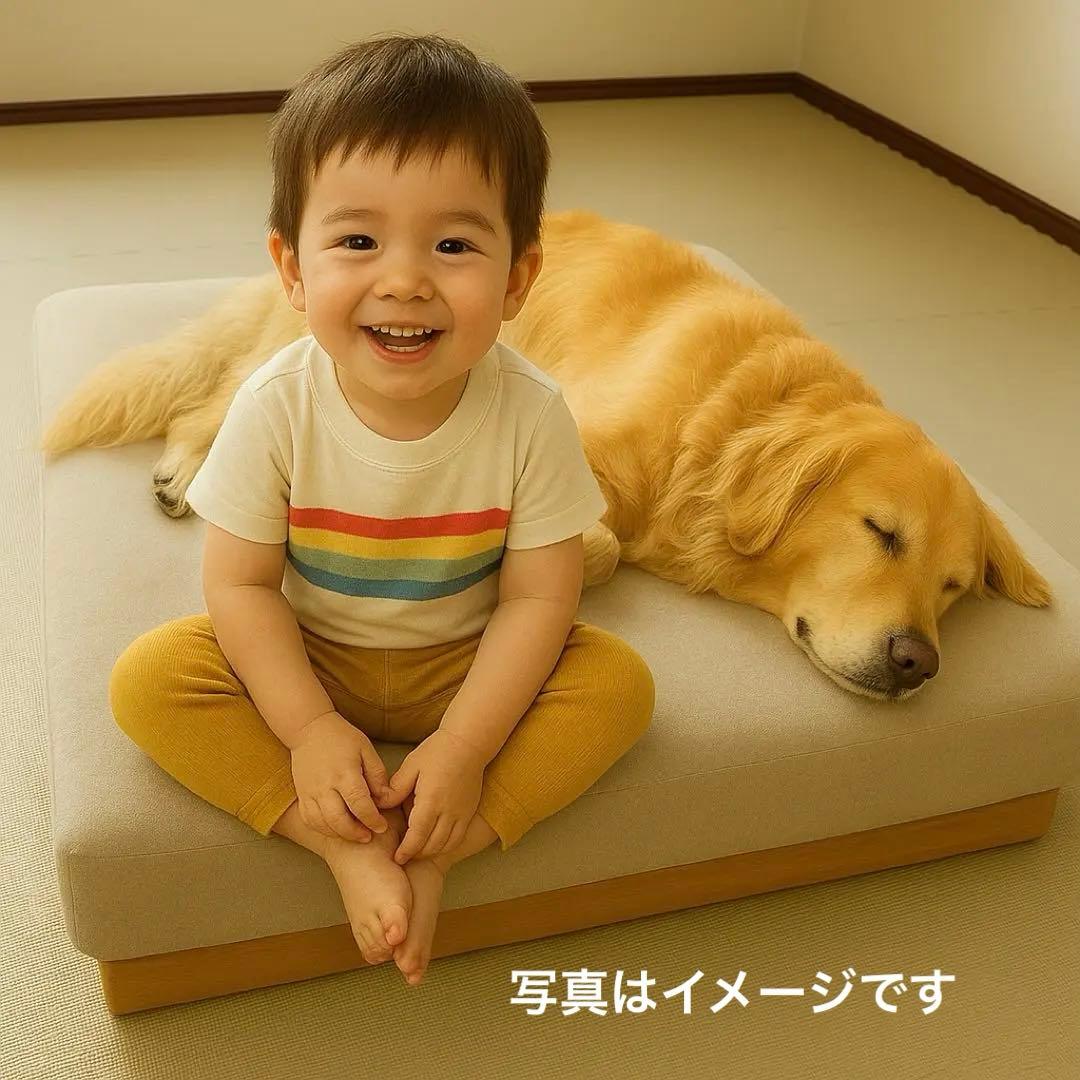 大型犬・人兼用ローソファ 未使用級 オットマン付 80×80 木製ベース