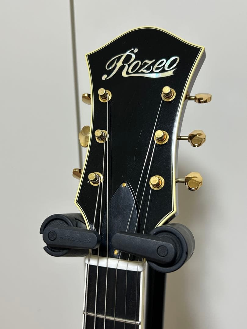 ギター ROZEO Ladybug-CB BG-CTM Bigsby