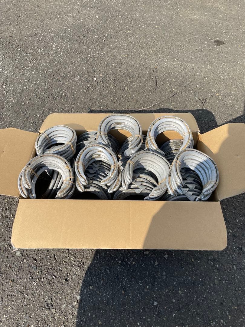 yoshiになりました他の方はご遠慮下さい 蹄鉄100個