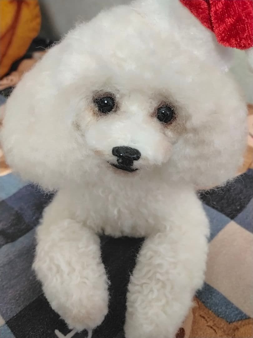 送料込み♡トイプードルちゃん。