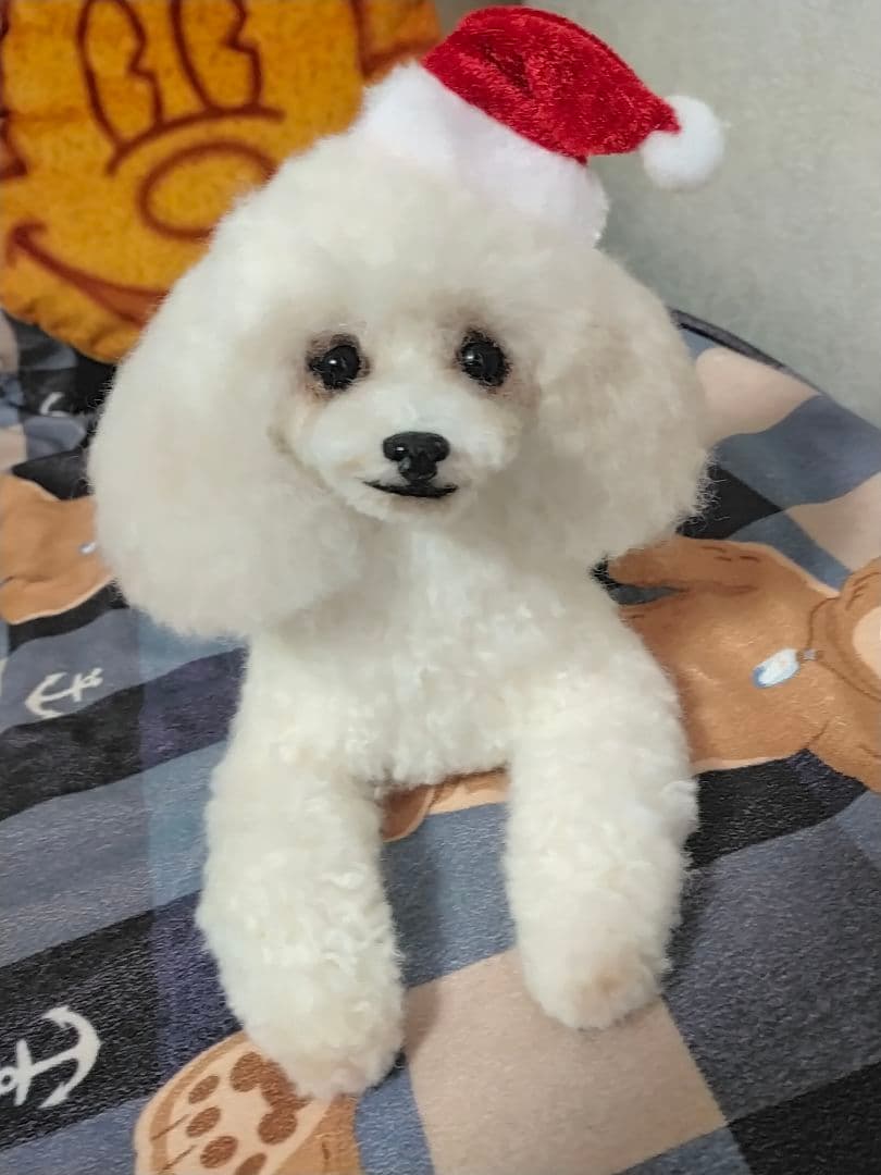 送料込み♡トイプードルちゃん。