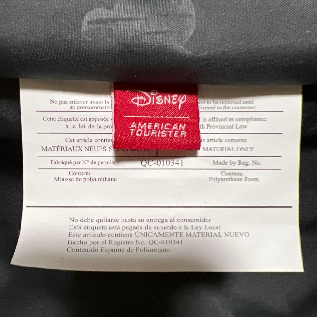 ディズニーミッキーマウススーツケース（2個セット）