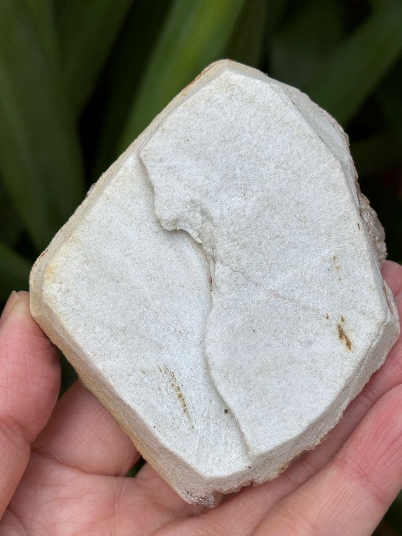 インド　メルー峰　シャークス・フィン　クラスター　希少　243g メルー水晶