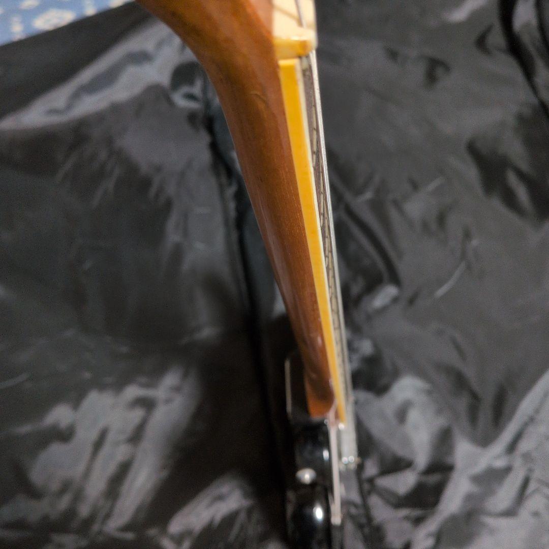 キングオブビザール！！ エレキギター☆テスコデルレイ！