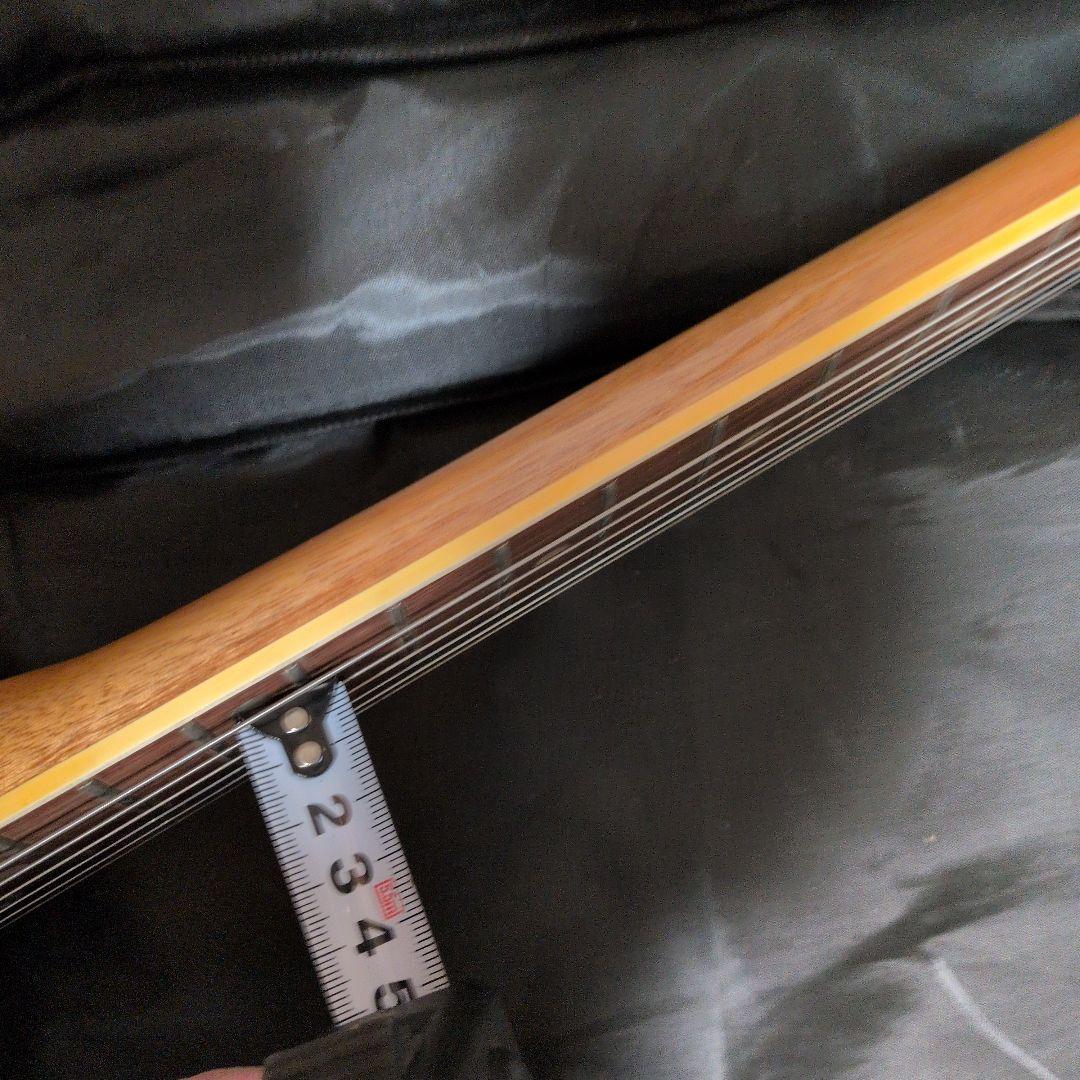 キングオブビザール！！ エレキギター☆テスコデルレイ！