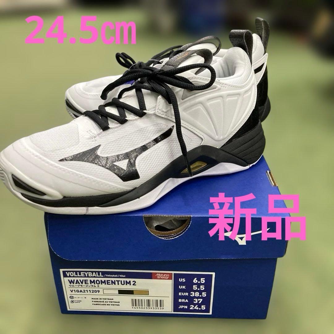 ミズノ　V1GA211209 24.5㎝ ウエーブモーメンタム2