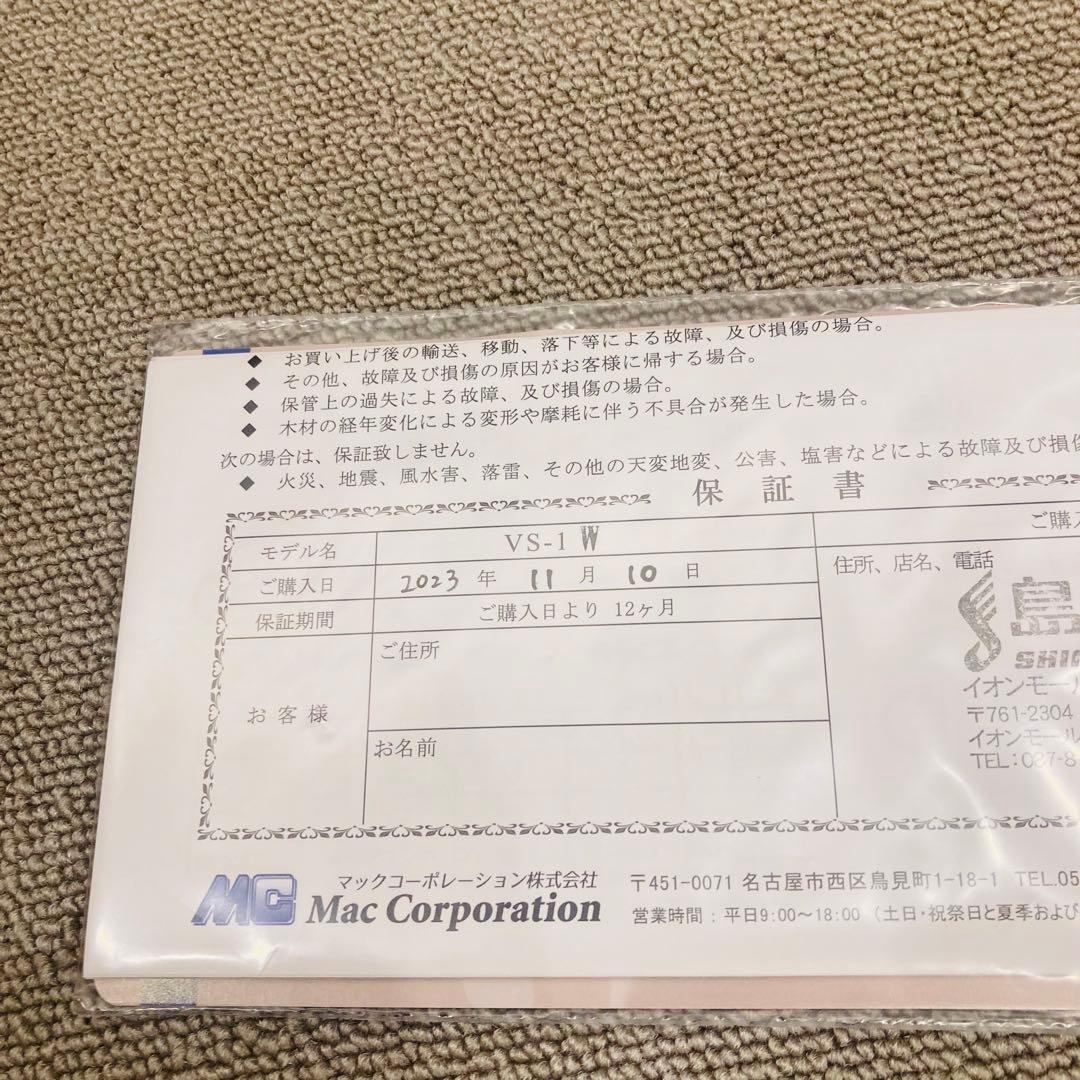 カルロジョルダーノ　バイオリン　VS-1 4/4 2023年