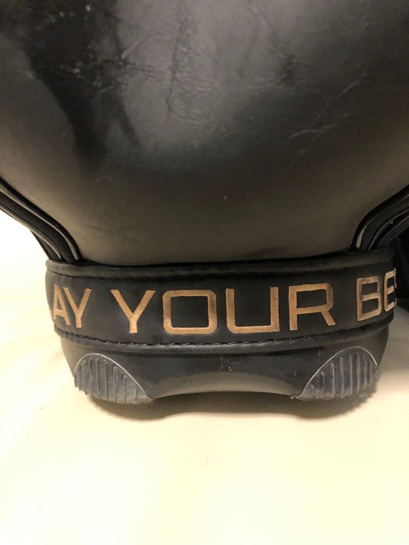 【送料込み】廃盤希少レア　PING ピン　キャディバッグ