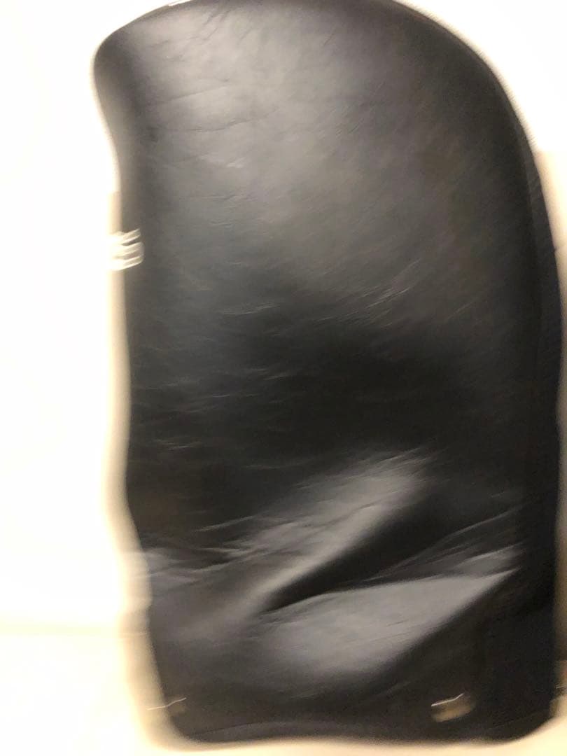 【送料込み】廃盤希少レア　PING ピン　キャディバッグ