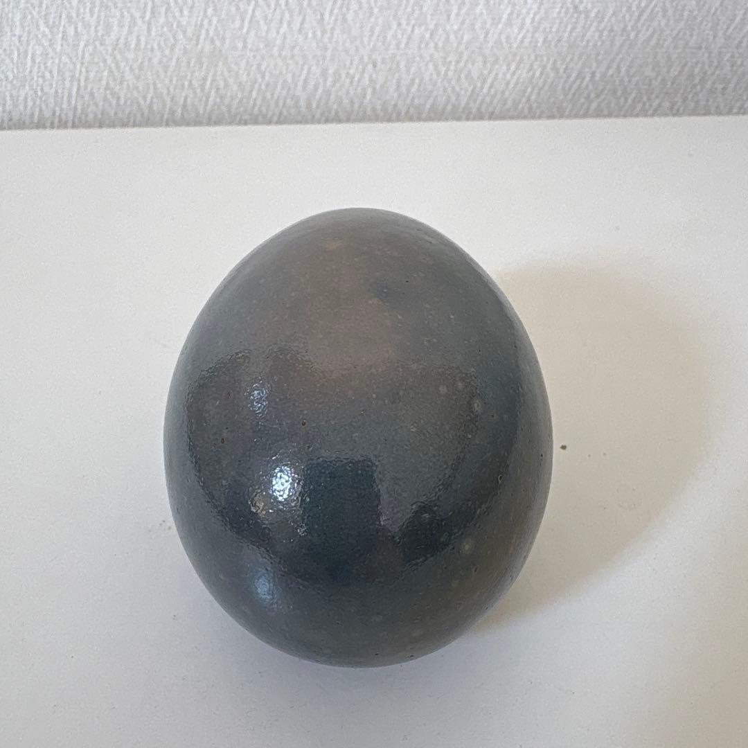  Birds by Toikka egg スコープ別注MAUVE