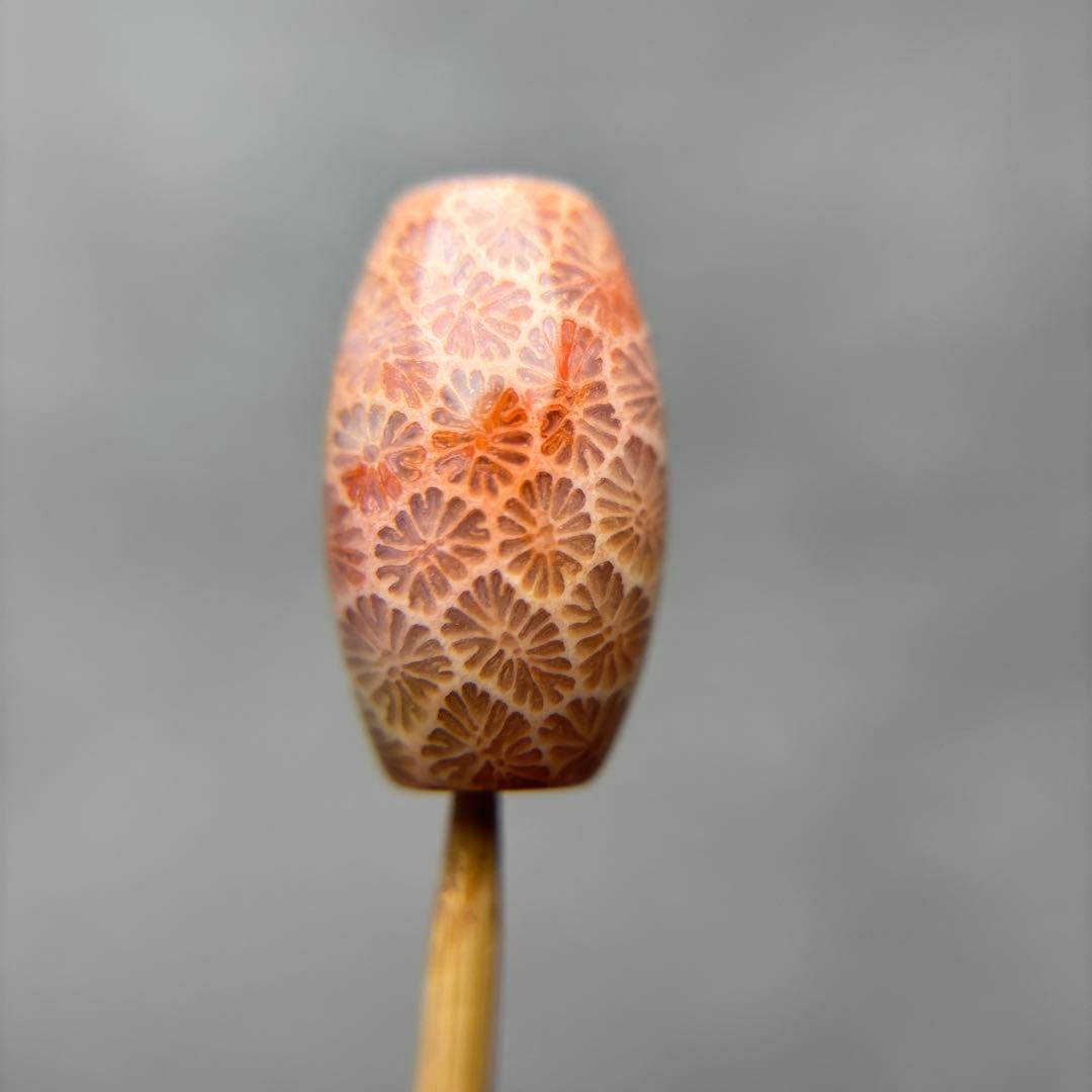 もんちゃんフォッシルコーラル　天珠　1-298