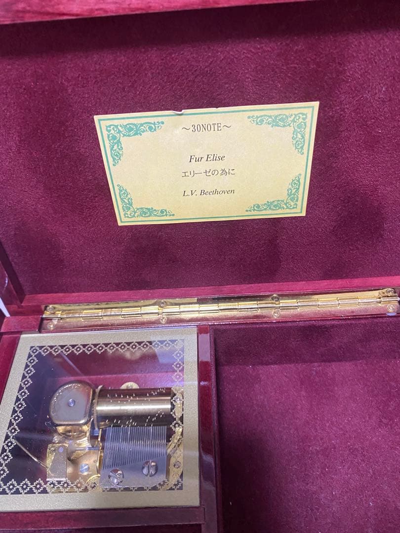 Fur Elise エリーゼの為に L.V. Beethoven