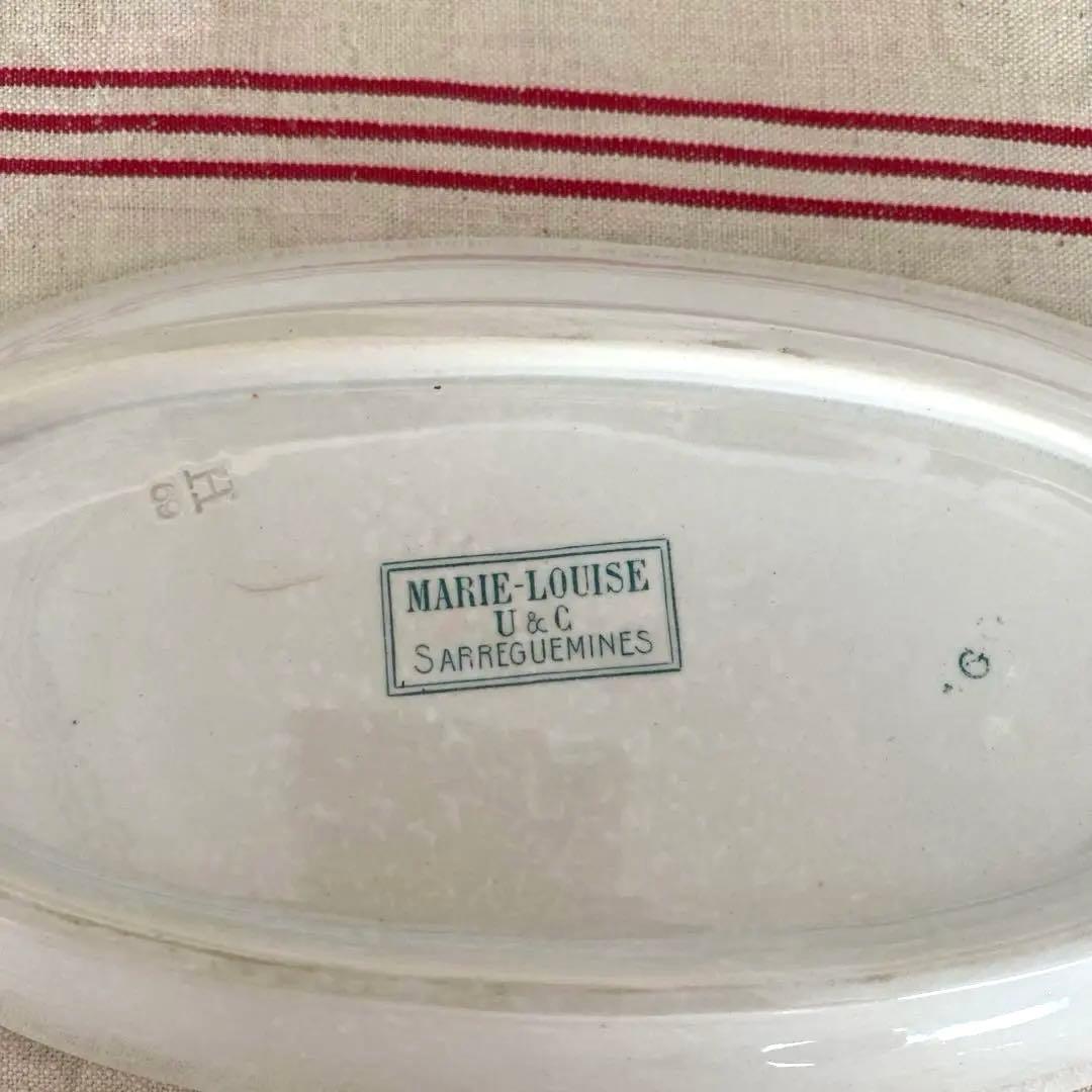 SARREGUEMINES MARIE LOUISE　サルグミンヌ　ラヴィエ