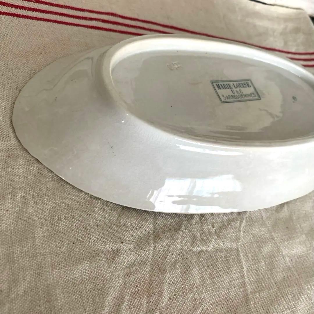 SARREGUEMINES MARIE LOUISE　サルグミンヌ　ラヴィエ