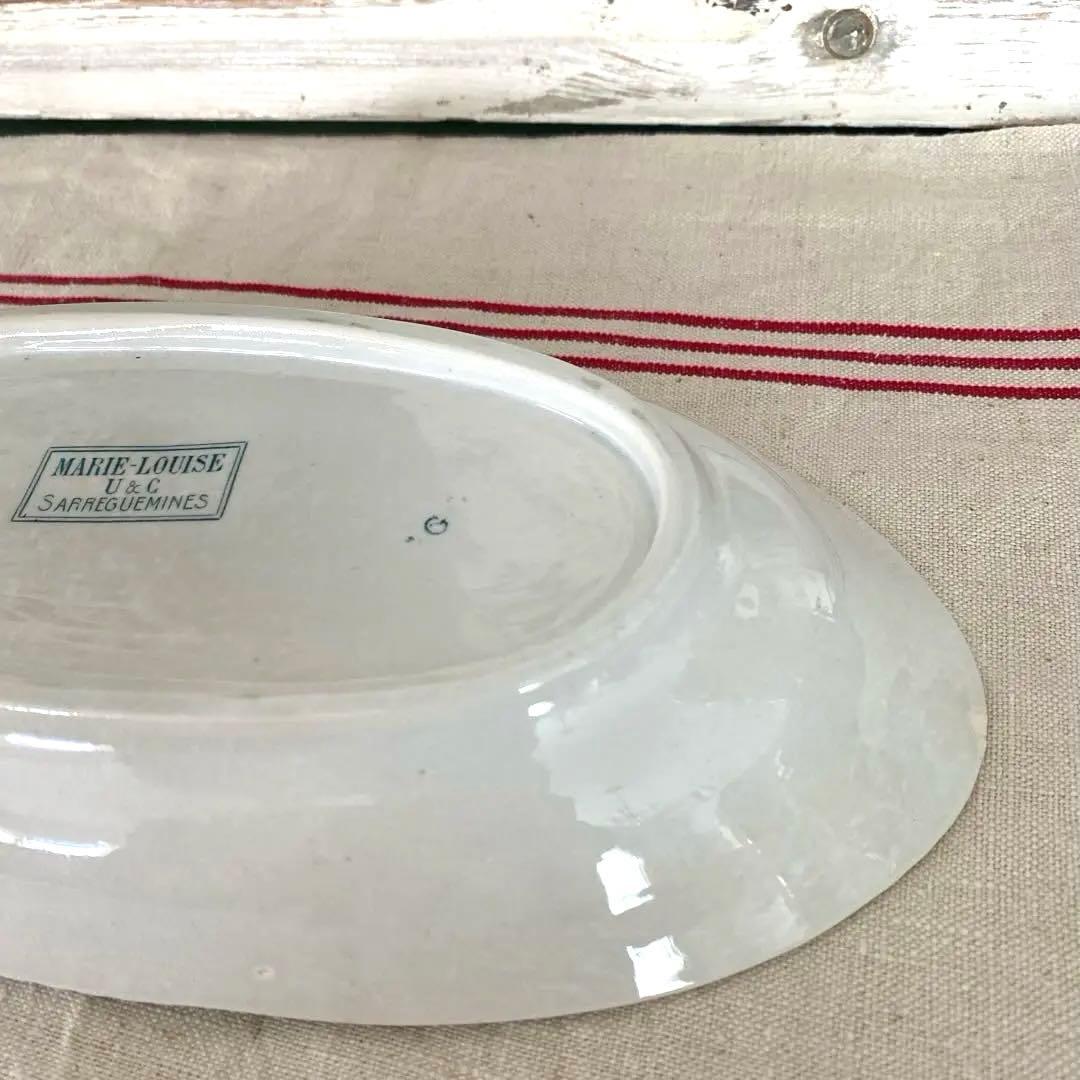 SARREGUEMINES MARIE LOUISE　サルグミンヌ　ラヴィエ