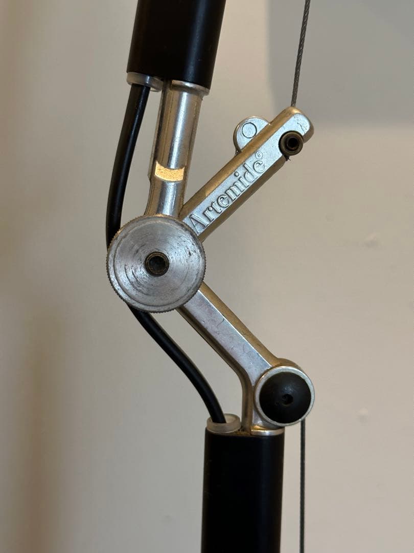 Ginnan　アルテミデ　トロメオ